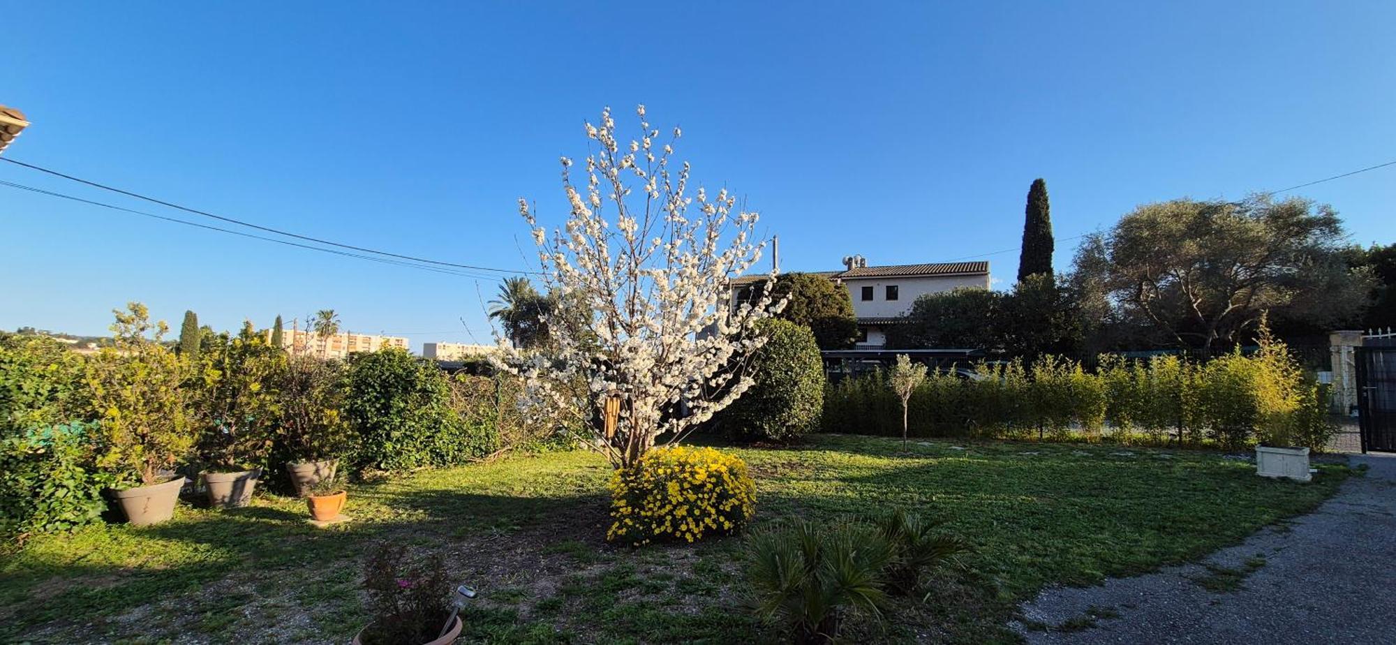 Studio Independant Avec Terrasse A Juan Les Pins Antibes Kültér fotó